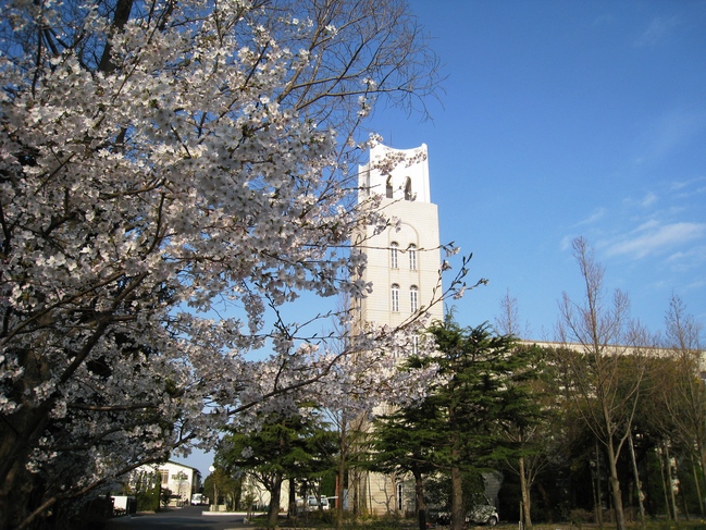 桜とメモリアルタワー