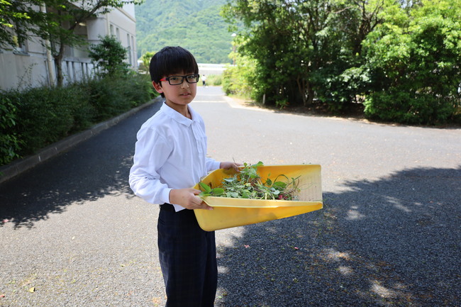 写真
