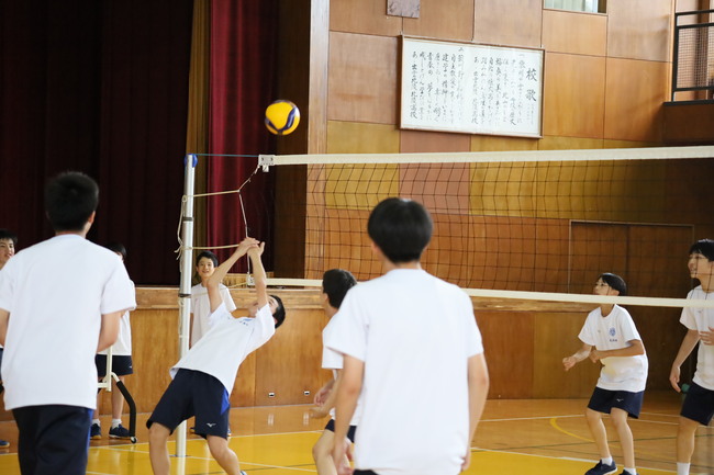 写真