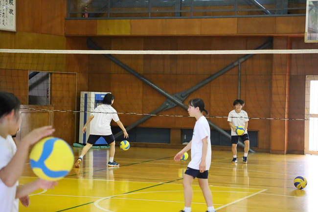 写真