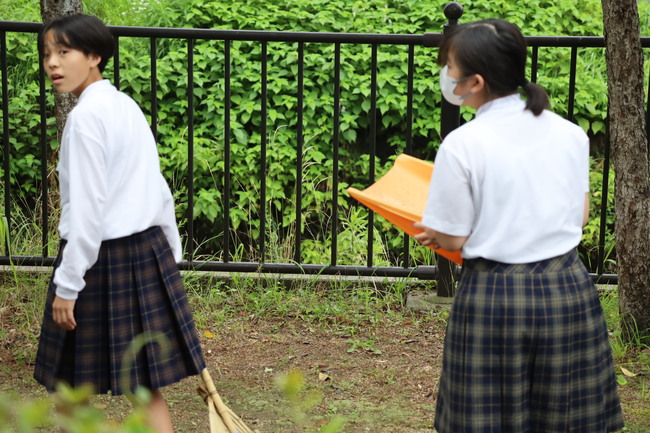 写真