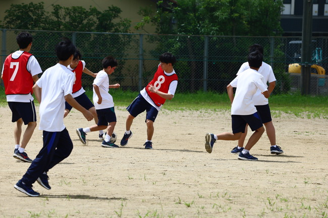 写真