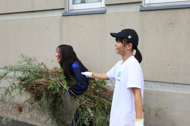 写真