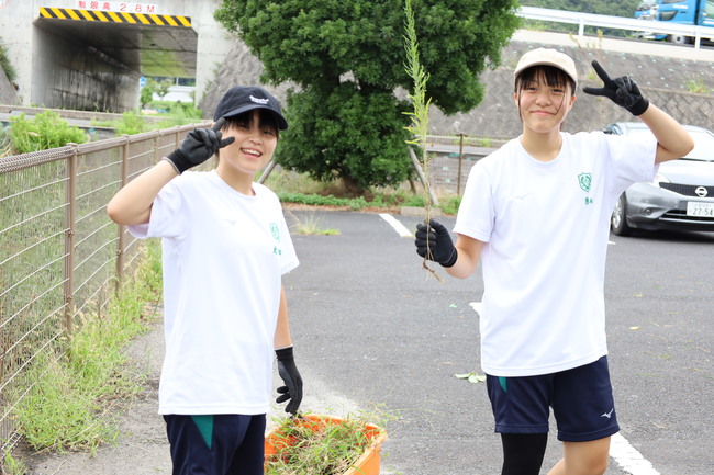 写真