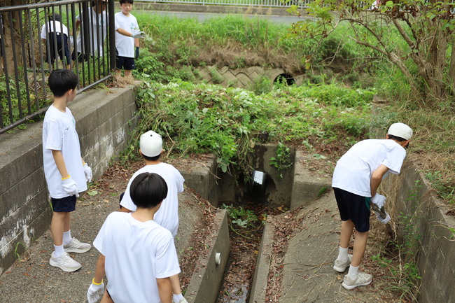 写真