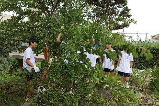 写真