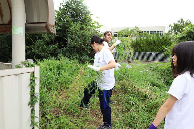 写真