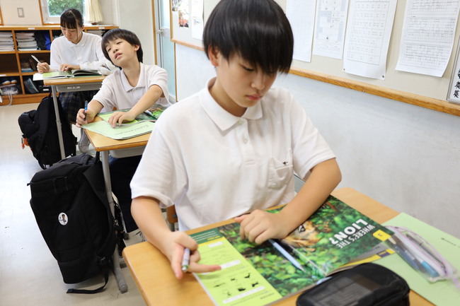 写真