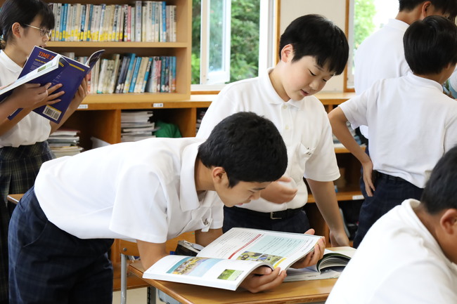 写真