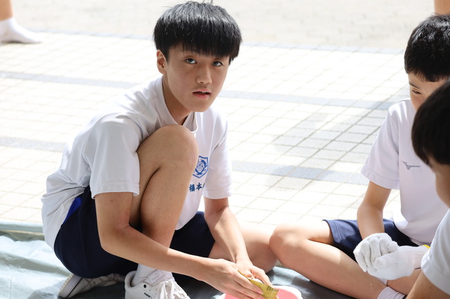 写真