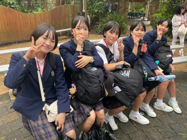 写真